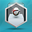 succes-pas-touche-fifa16